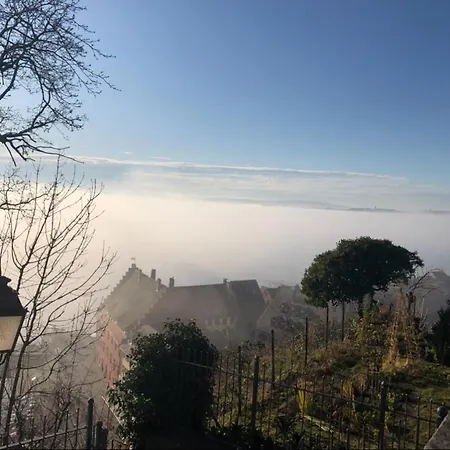 Seeblick - Chice Maisonette Ueber Den Daechern Von