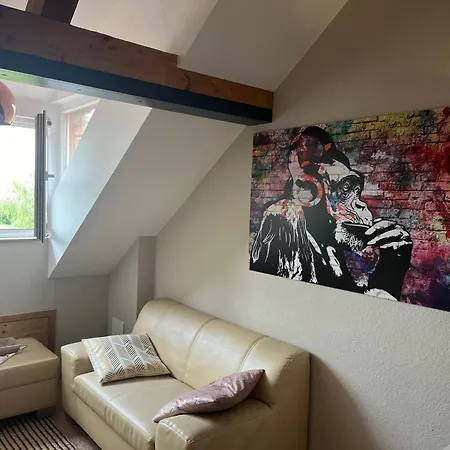 Seeblick - Chice Maisonette Ueber Den Daechern Von Apartment Meersburg