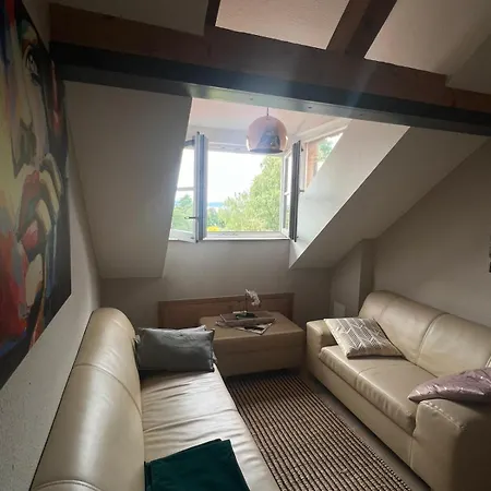 Seeblick - Chice Maisonette Ueber Den Daechern Von Meersburg