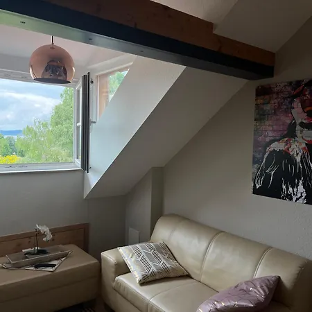 Seeblick - Chice Maisonette Ueber Den Daechern Von Apartment Meersburg